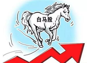 探索全球餐饮版图，国外餐饮品牌的多元风采