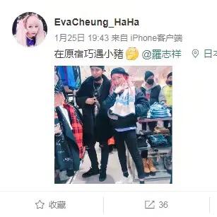 身份证号码查住宿记录全攻略，注意事项、流程与案例解析