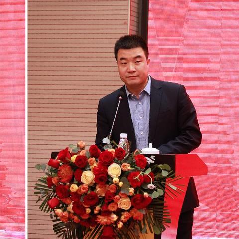双十一家电品牌的狂欢与挑战