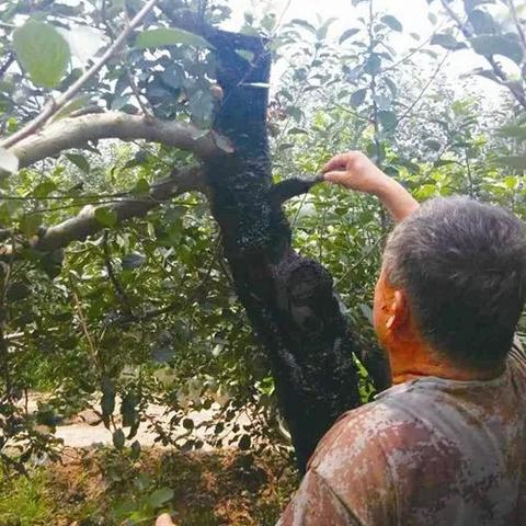 如何申请得物佳物分期额度？你需要知道的都在这里！