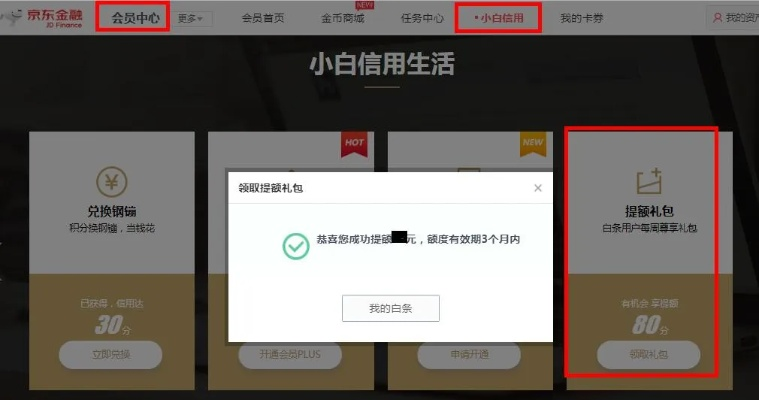 京东白条分期还款提现攻略，轻松变现你的白条额度！