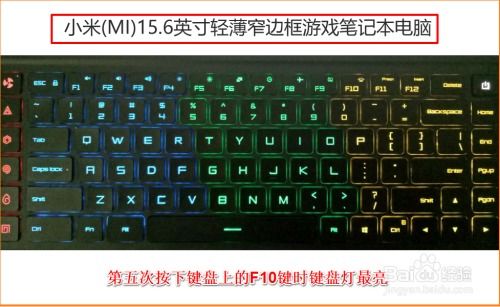 探索电脑键盘品牌，选择最佳伴侣的指南