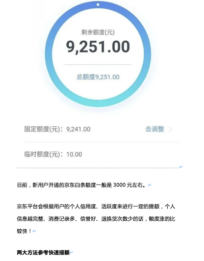 京东白条分24期提现，轻松理财，分期无忧！