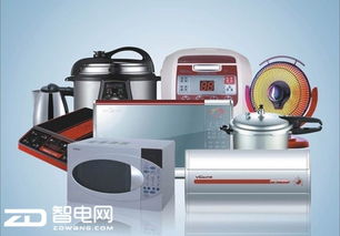 河北厨房小家电电机品牌之崛起与创新