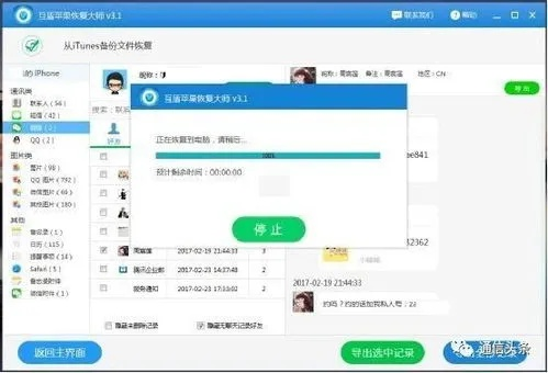 如何恢复已删除的聊天记录，实用指南与案例分析