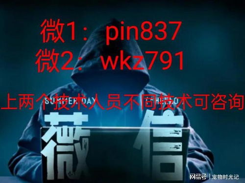 24小时在线免费私人黑客服务全解析，合法需求如何高效解决？