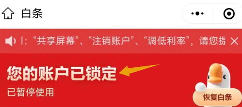 京东白条二维码收款提现攻略，轻松变现，告别繁琐！