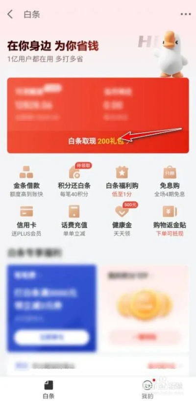 京东白条二维码取现攻略，轻松操作，现金在手！