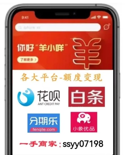 羊小咩享花卡余额查询攻略，轻松套出你的钱袋子！