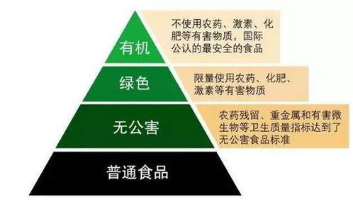 有机母婴品牌，呵护下一代的绿色承诺