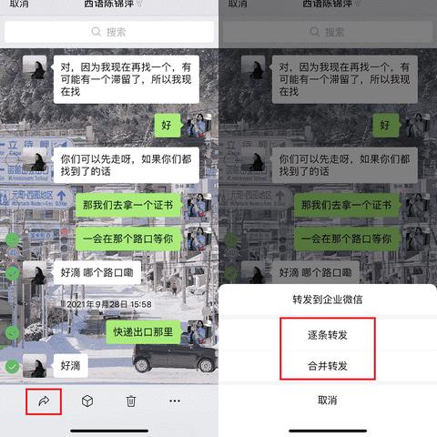 轻松掌握聊天记录查看技巧，不再错过重要信息！