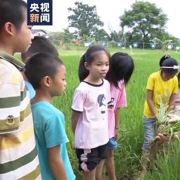 陕西家电品牌探秘