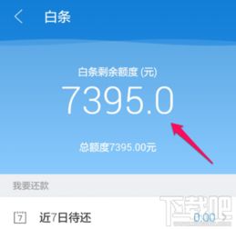 京东白条额度提现攻略，轻松操作，资金到账快人一步！
