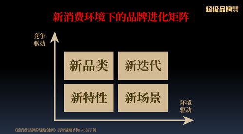 湖南邵阳家居品牌—传承与创新的交响曲