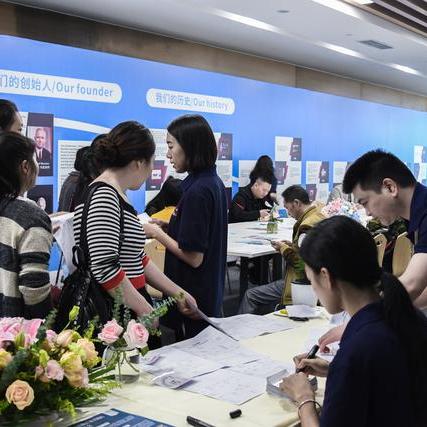 查同行人酒店记录怎么查？详细步骤与案例解析