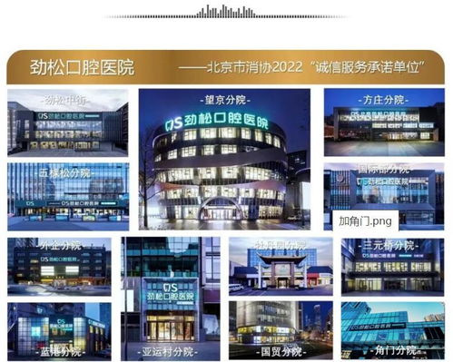 探索汕头贝壳粉品牌厂家的联系方式