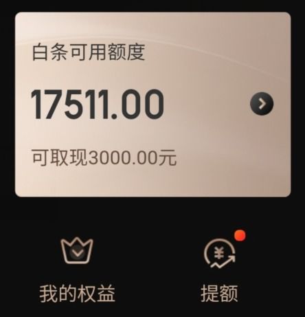 揭秘京东白条额度套出攻略，轻松提升你的消费力！