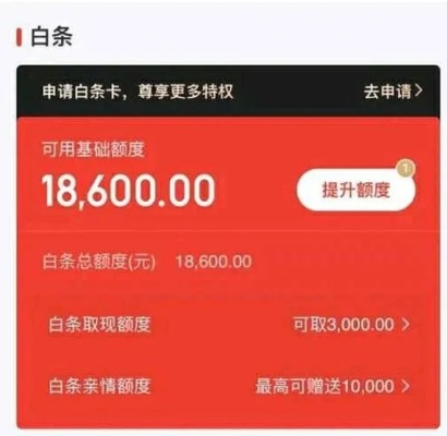 京东白条额度水电费提现攻略，轻松变现，告别繁琐！