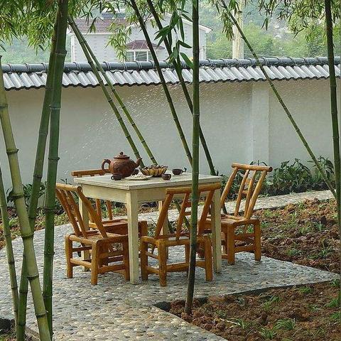 打造餐饮品牌公司，从构思到运营的完整流程
