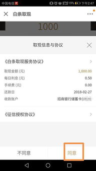 揭秘京东白条额度全提现攻略，轻松变现，你的钱袋子也能鼓起来！