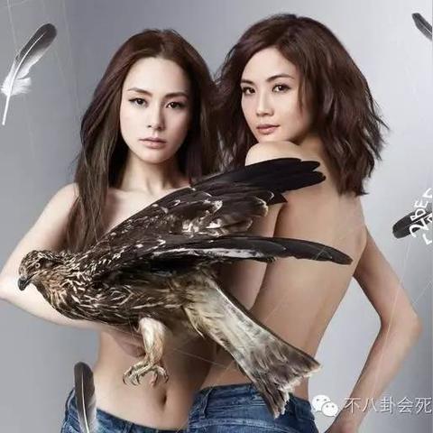 比基尼与汽车品牌，时尚与性能的完美融合