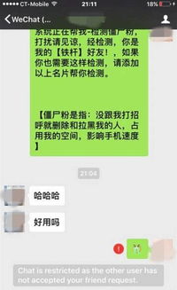 揭秘微信聊天记录查看技巧，安全与隐私的平衡之道