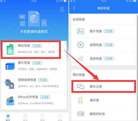 如何找回不小心删除的聊天记录，实用指南与案例分析