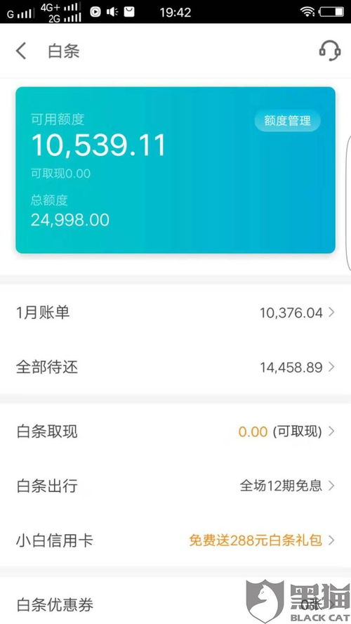 揭秘京东白条额度，每月提现额度是多少？如何合理使用？