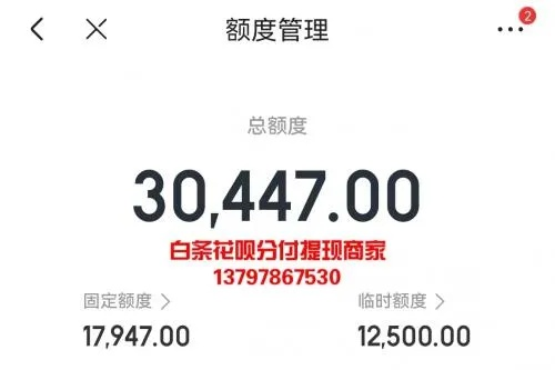 京东白条额度两万，轻松提现攻略大揭秘！