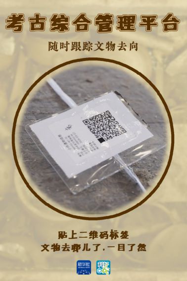 身份证能查开房记录吗？深入了解隐私保护与合法查询边界