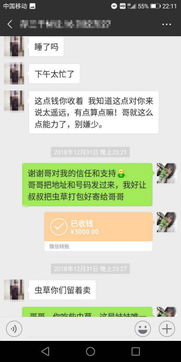 揭秘微信聊天记录查询，合法途径与风险提示