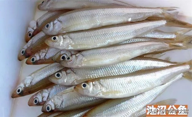 轻松搞懂白条余额，白条套现全攻略