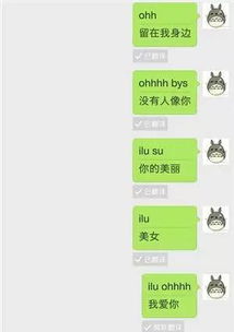 微信聊天记录m，那些藏在对话框里的秘密与注意事项