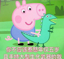 羊小咩便荔卡提现攻略，用pose机轻松操作，让你钱袋子鼓起来！