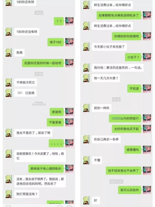 怎样查看老公和别人的微信聊天记录？方法与注意事项详解