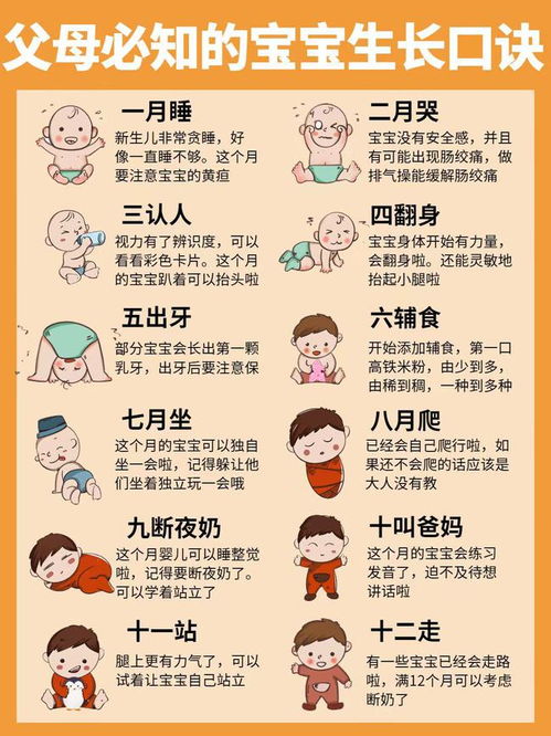 母婴品牌全面解析，从新生儿到成长的每一个阶段
