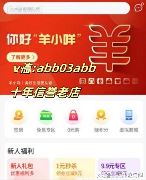 郑州羊小咩享花卡套出公司，从零到一的创新之路与行业启示