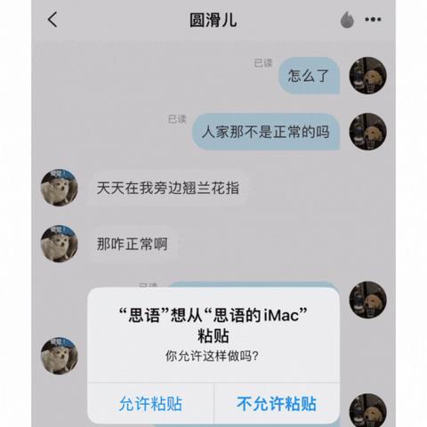 揭秘监控聊天记录永久删除，真相与应对策略