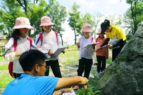 石狮市户外品牌，探索与创新的融合之旅