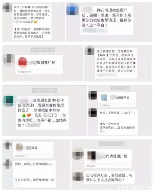 揭秘微信聊天记录查询，方法、风险与注意事项