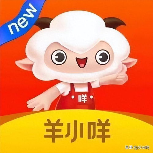 羊小咩的花卡之旅，如何轻松套出花卡套