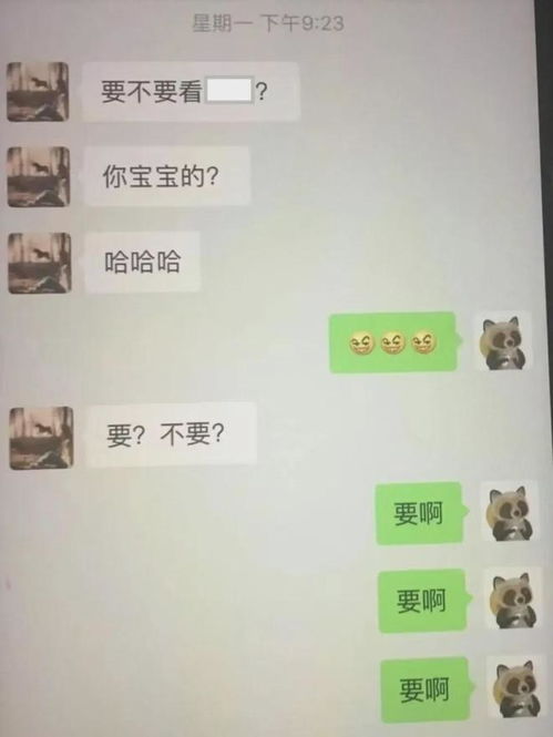 揭秘聊天记录的秘密，如何合法查别人聊天记录？