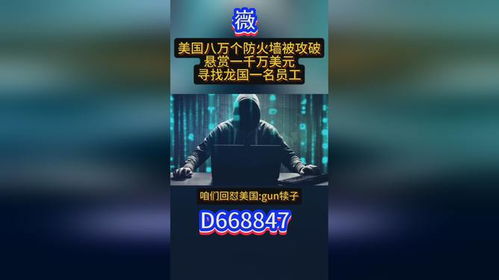 黑客24小时在线接单网站概览