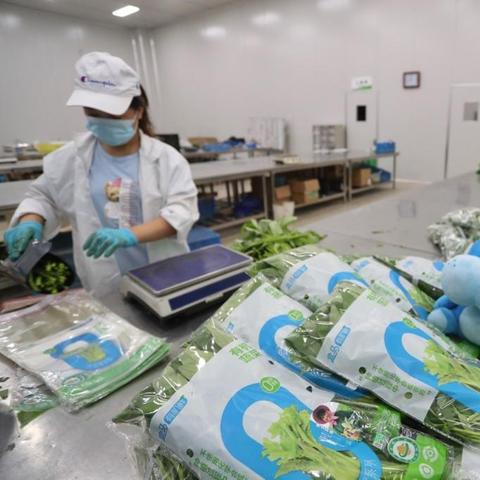 崇明家居安装品牌，品质与服务并重的典范