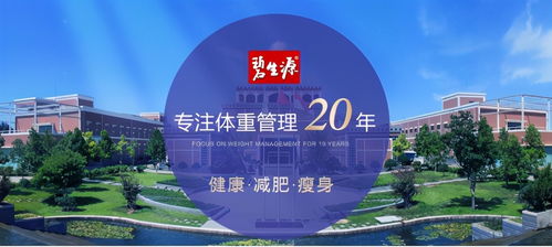 探索邹城装修品牌招商新机遇