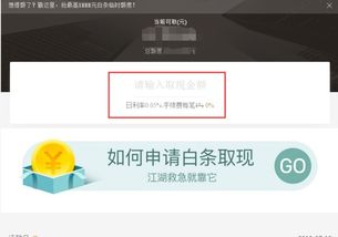 揭秘京东白条取现利息，费用明细、案例解析及省钱攻略