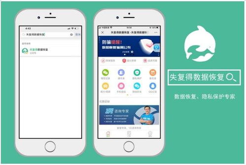 如何查看别人的聊天记录却不被发现的秘密技巧大揭秘！