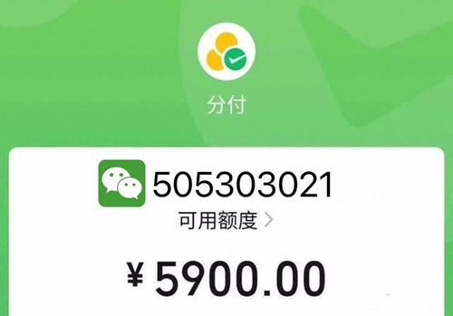 微信分付商家提现，手续费揭秘与案例分析