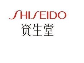 化妆品集团及品牌，引领潮流与创新的先锋