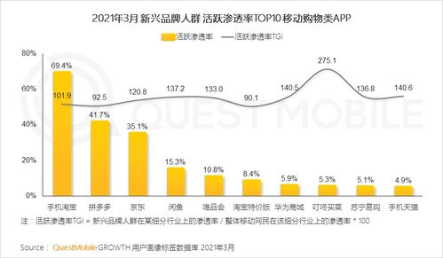 母婴品牌数字化营销案例，创新策略与成果展示